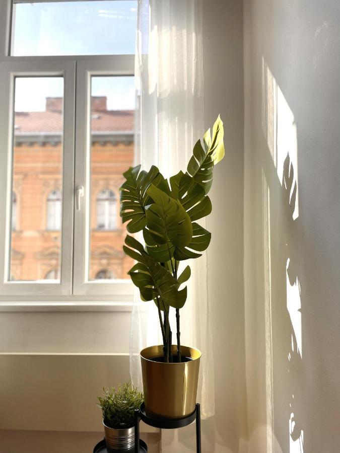 Apartment Eotvos 25 Budapest